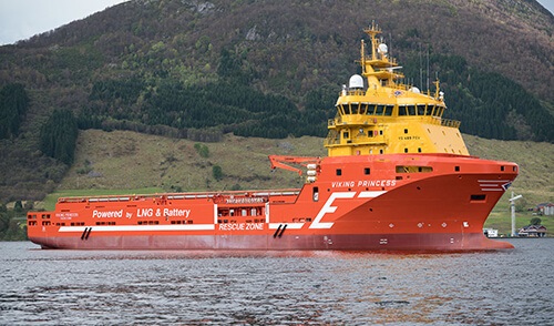 Viking Princess 3