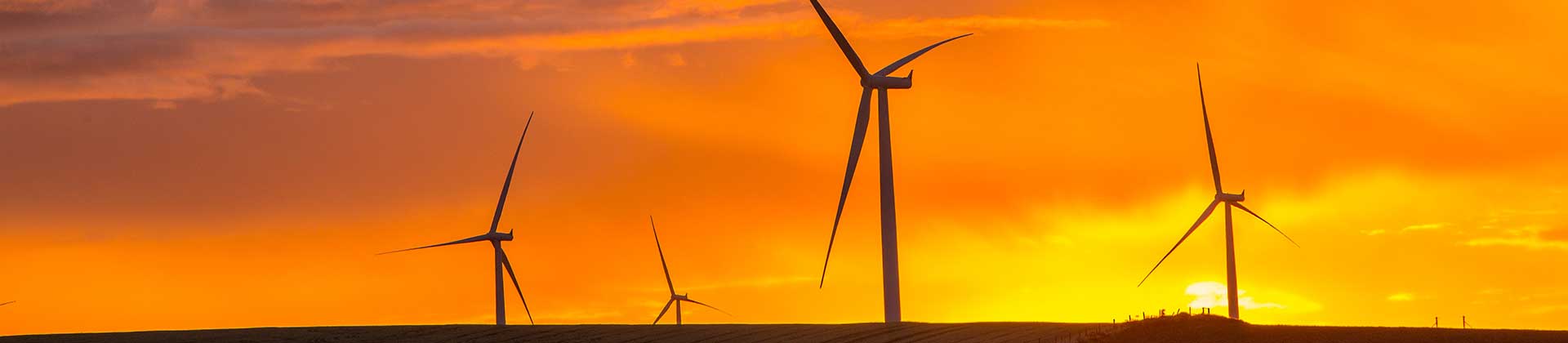 Wind farm