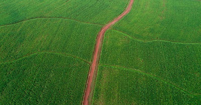 Path-to-100-Pathwway