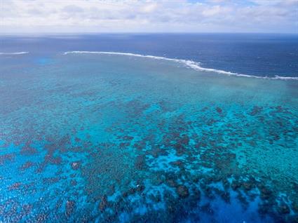 Solving the global coral reef crisis2