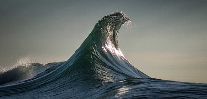 At the forefront of preserving marine life6