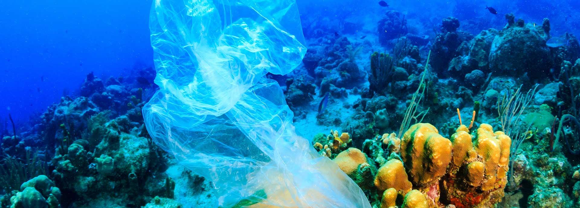 5 ways to tackle plastic waste