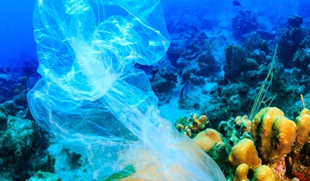 5 ways to tackle plastic waste