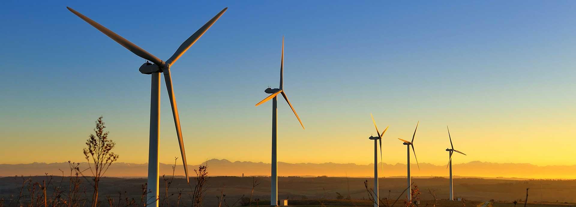 As Europe aims for carbon neutrality, wind power has an important role to play