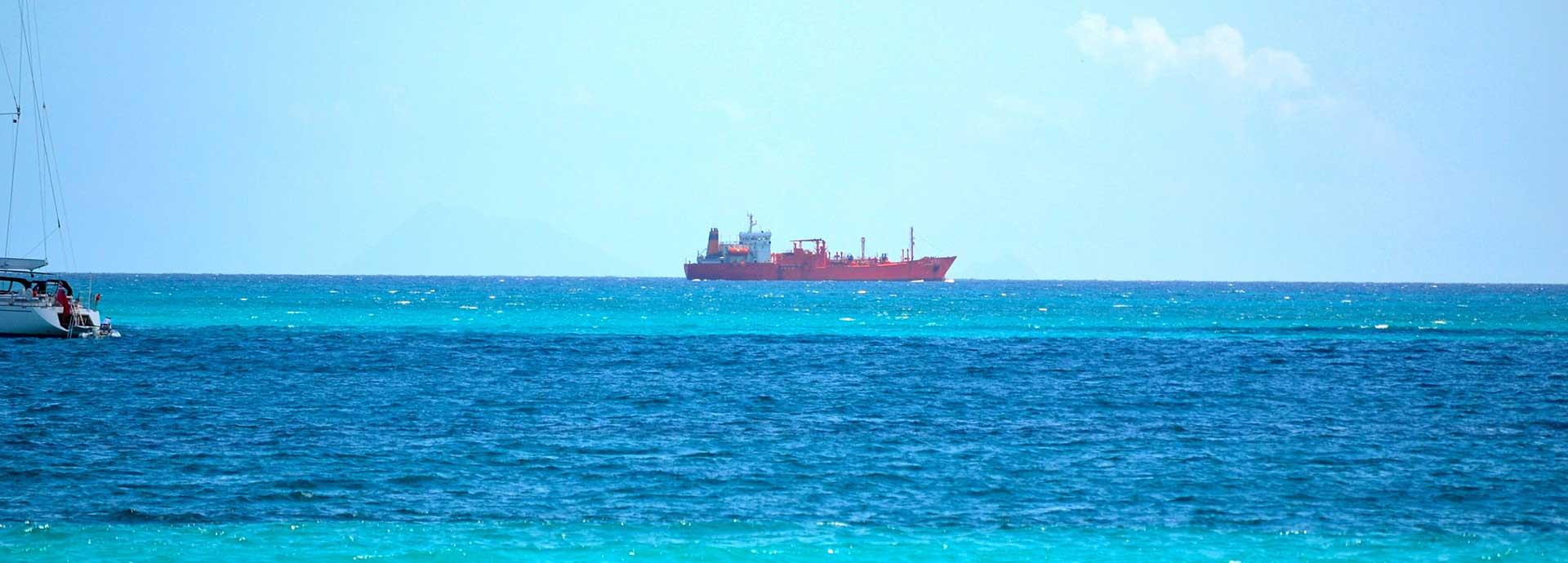 As ocean temperatures rise, shipowners look for ways to cope