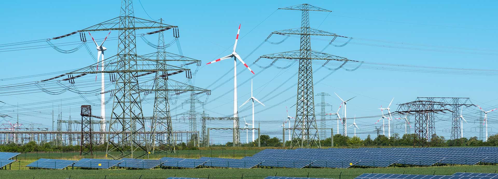 Bidding right at CHP auctions