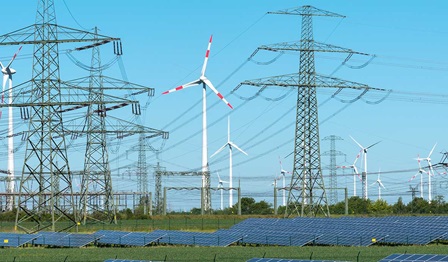 Bidding right at CHP auctions