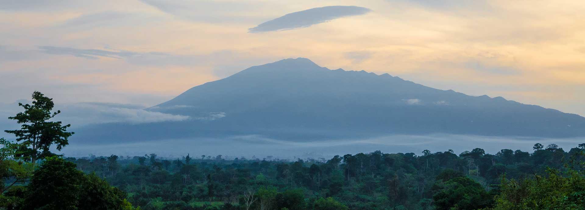 Cameroon eyes renewable energy as it scales up its economy