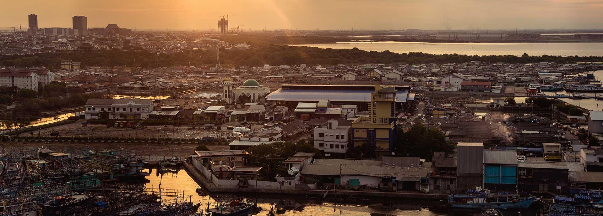 Coastal cities look for answers as seas rise