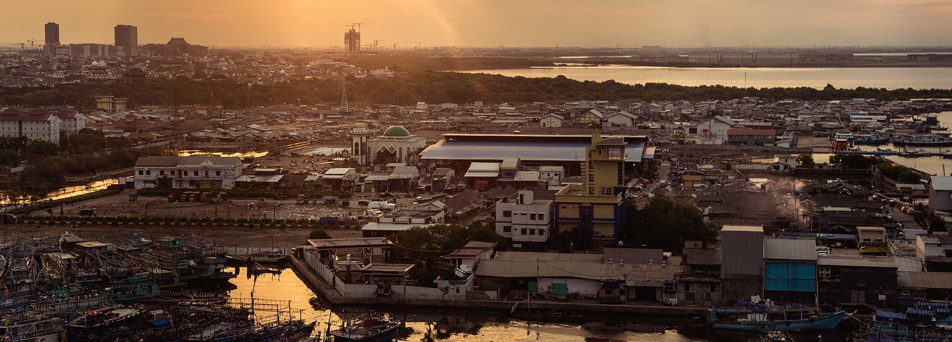 Coastal cities look for answers as seas rise