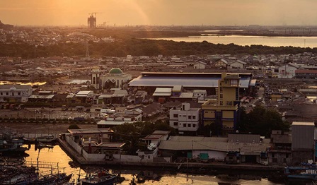 Coastal cities look for answers as seas rise