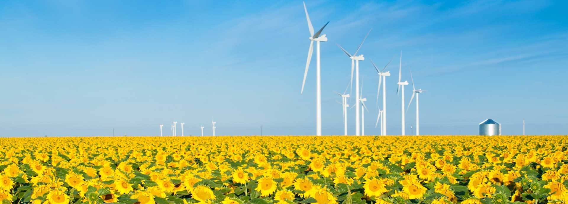 Colorado gears up to meet audacious clean energy goals