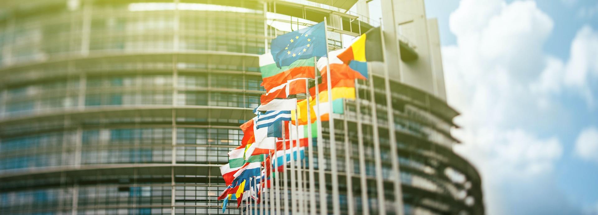 EU flags in Strasbourg