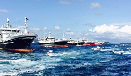 Wärtsilä stern trawler design, fishing for better efficiency