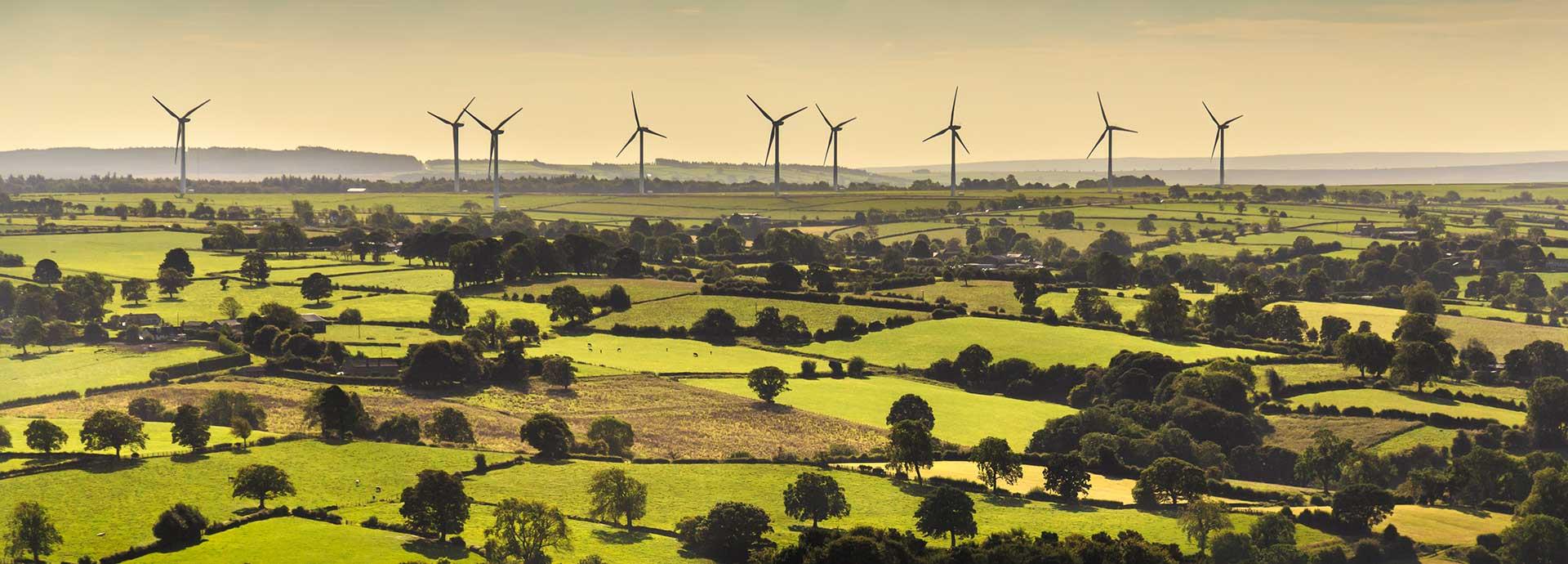 Going green the hybrid way