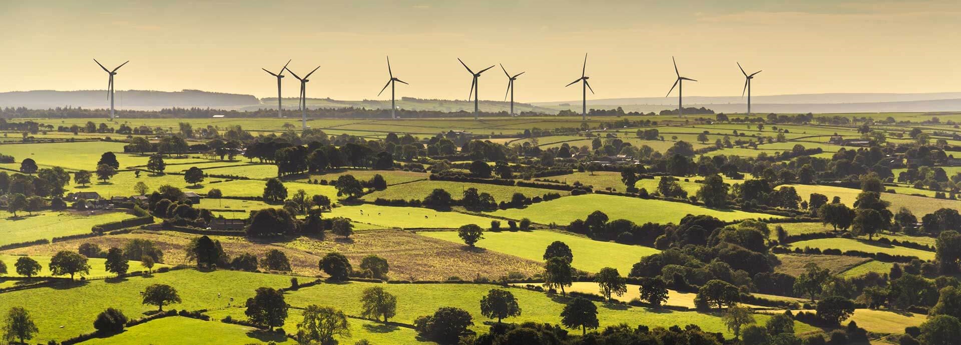 Going green the hybrid way