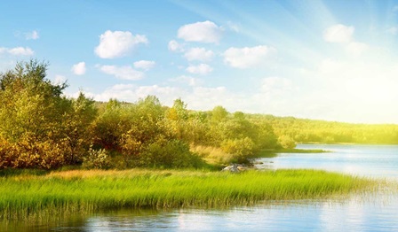 Hydrogen - The future of zero-carbon fuels?