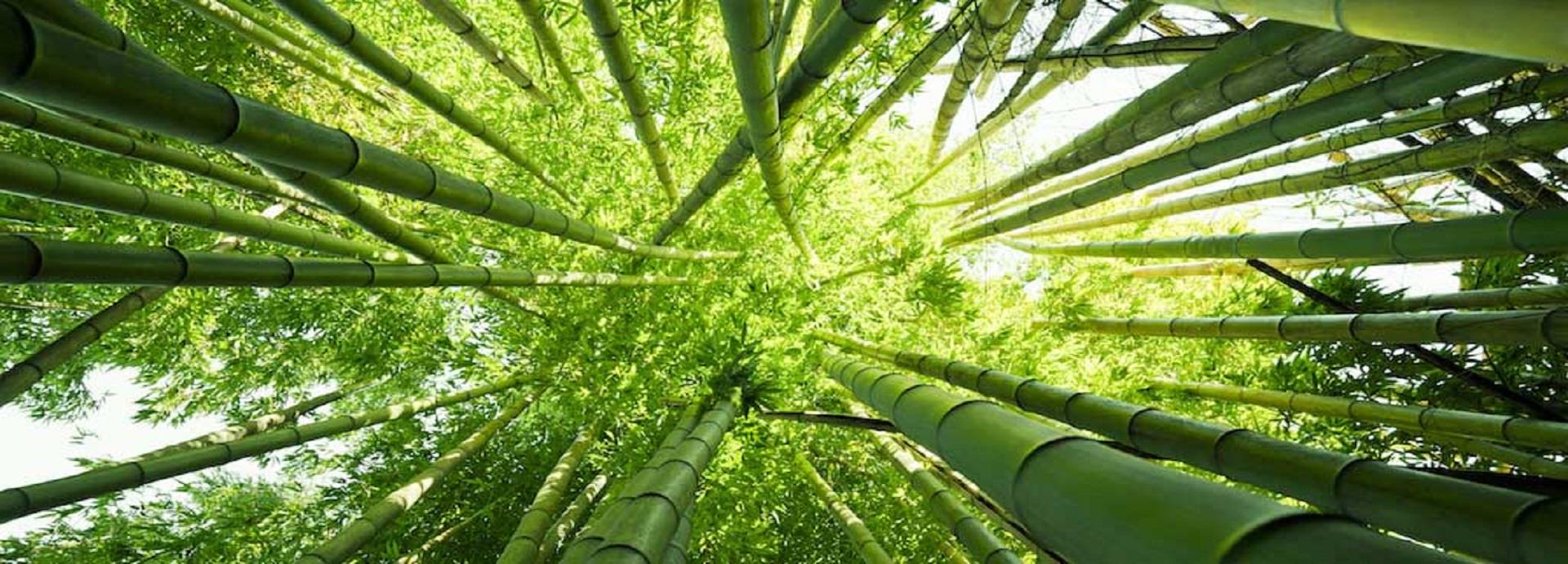 life-after-plastic-the-hunt-for-alternativesresized