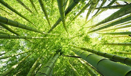 life-after-plastic-the-hunt-for-alternativesresized