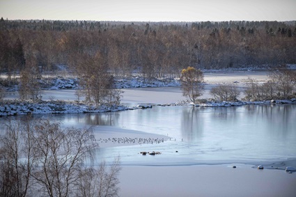 Life in a Finnish archipelago_7