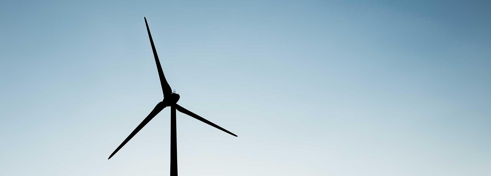 New EU electricity regulation sets scene for switch to renewables 