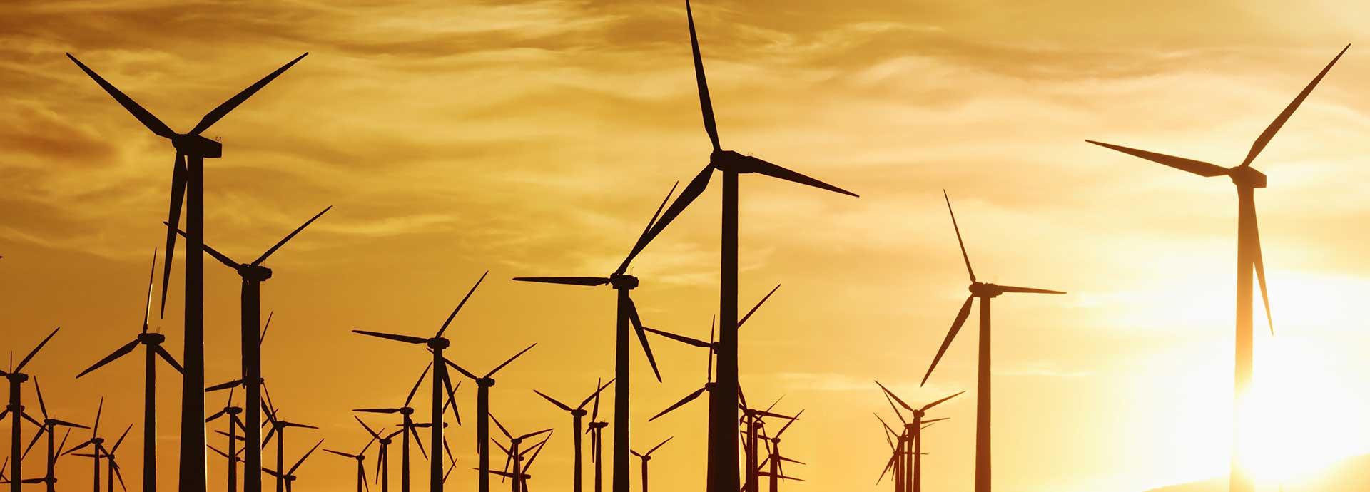 Renewable Energy gathers pace in the U.S.