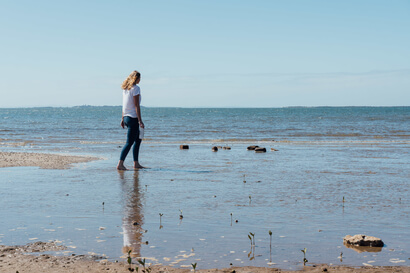 Seabin_Portsea_2