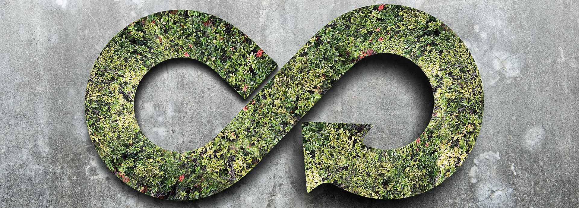 The case for building a circular economy