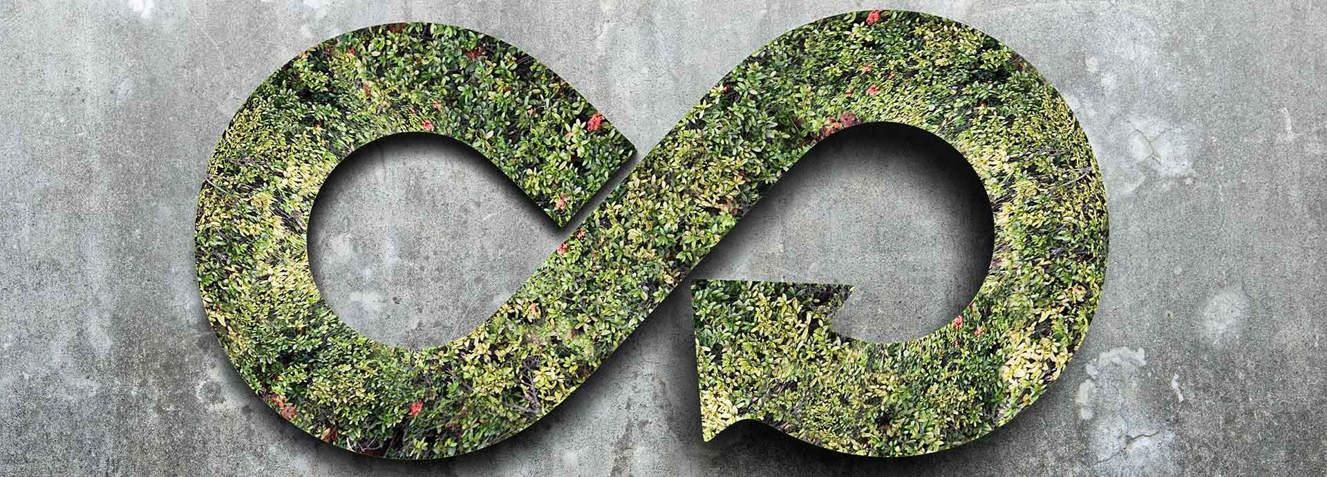 The case for building a circular economy