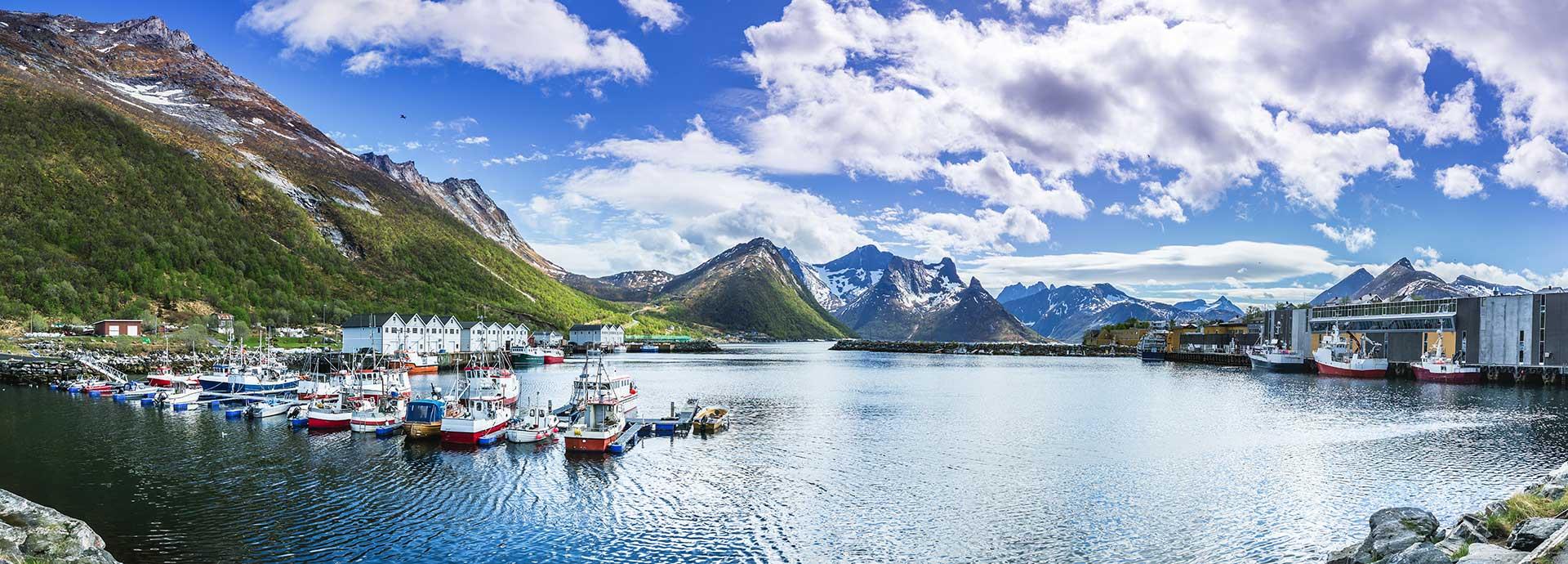 Wärtsilä working to raise efficiencies, lower operational costs, and reduce the environmental impact for fishing industry vessels