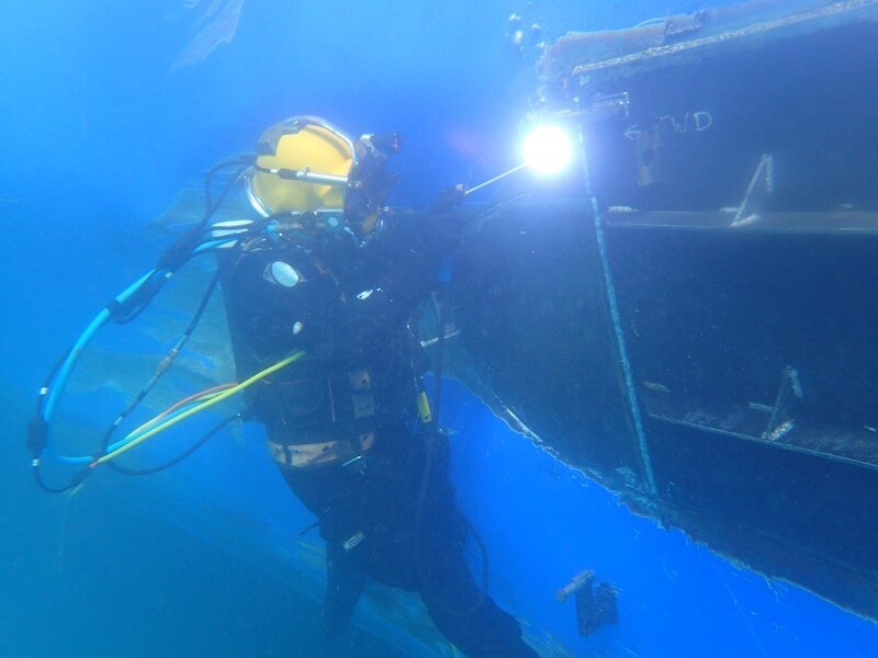The life aquatic with William Winters2